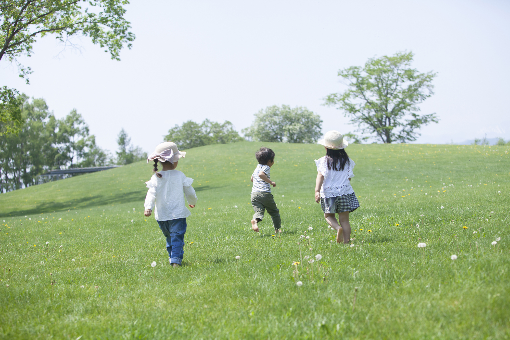 写真：園児